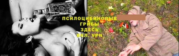 тгк Арсеньев